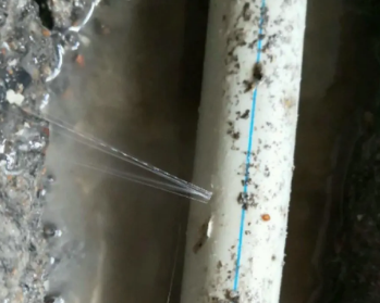 沙河口卫生间测漏水多少钱